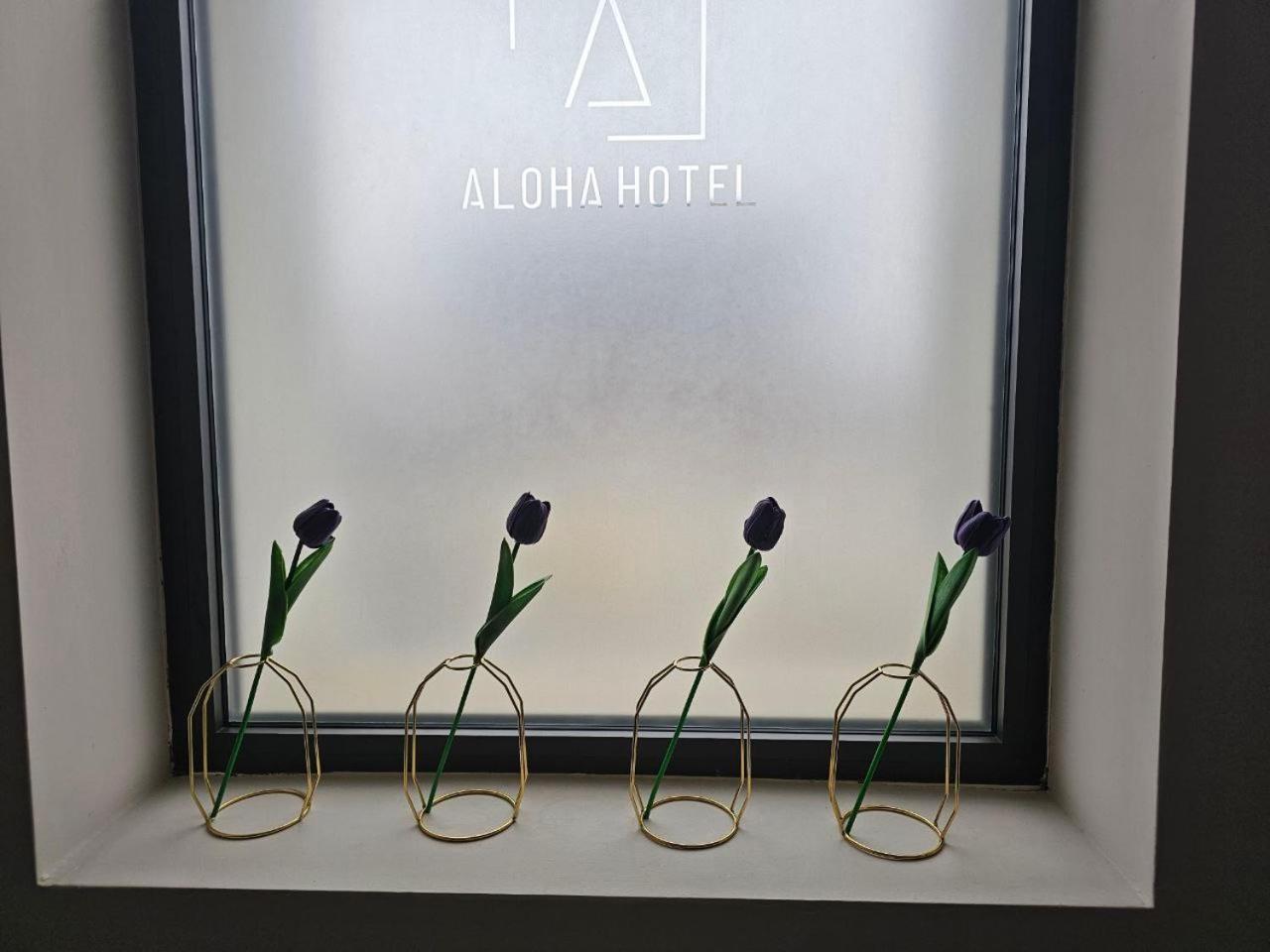 Hotel Aloha Ni 部屋 写真